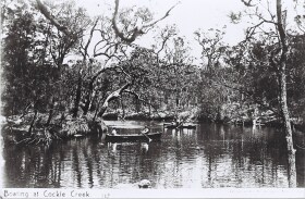 photo: boating on cockle creek c1907