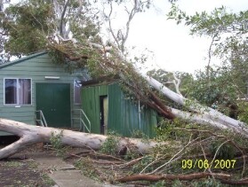 photo: fallen tree on kilaben bay hall after the june 2007 storms