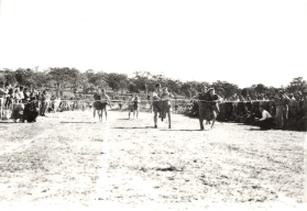 photo: three legged race with raaf and waaf personnel, raaf rathmines, 1945l