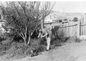 photo: con lambert mowing his parent's  lawn at 34 james street teralba with his petrol lawnmower, 1966